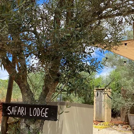 Algarve Olive Tree Lodge Nora  Exterior photo