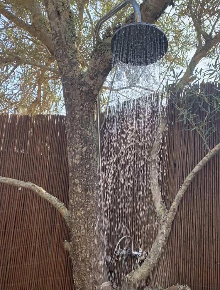 Camping Algarve Olive Tree *