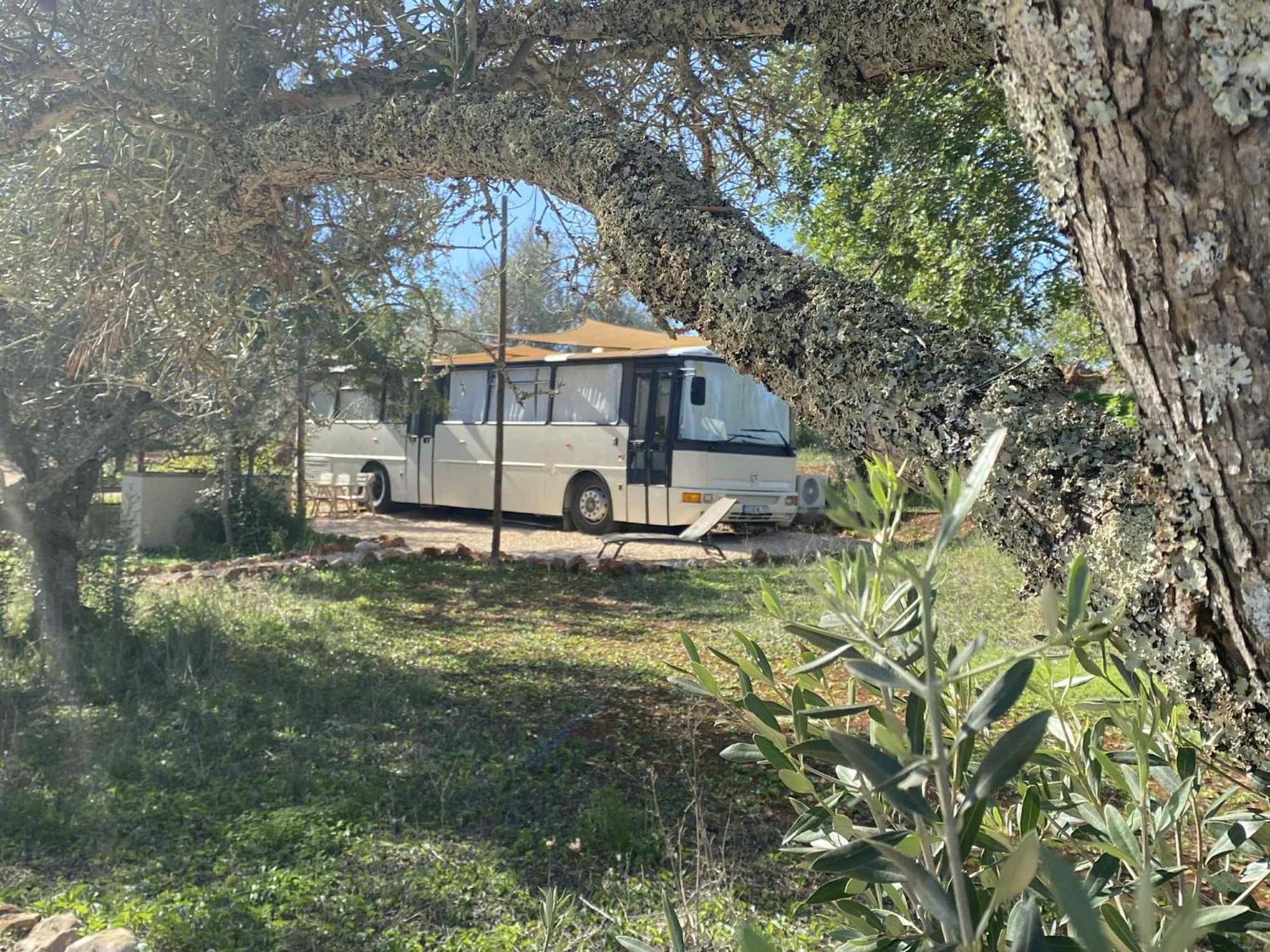 Camping Algarve Olive Tree *