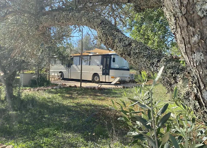 Algarve Olive Tree Lodge