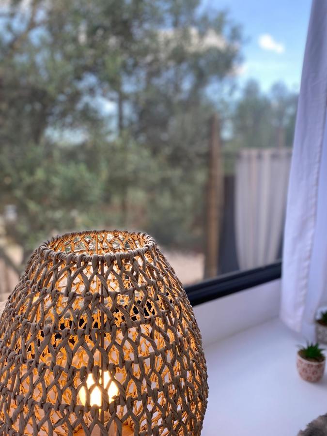 Algarve Olive Tree *